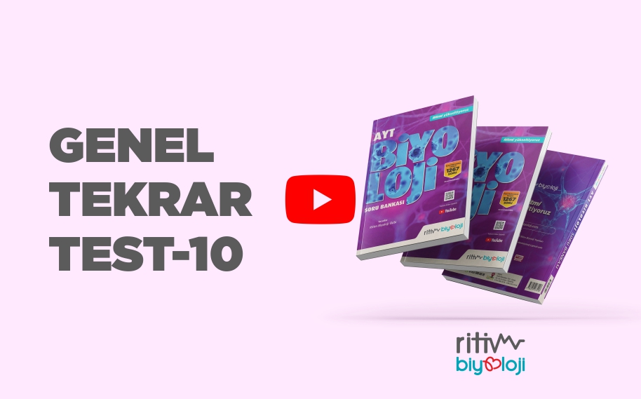 Genel Tekrar Test-10